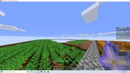 Harvest ready carrots (Image via hypixel.net)